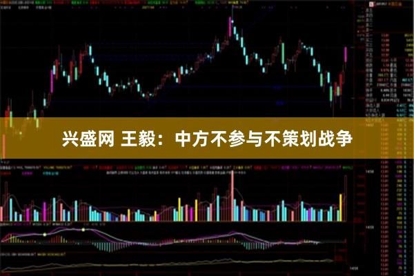 兴盛网 王毅：中方不参与不策划战争